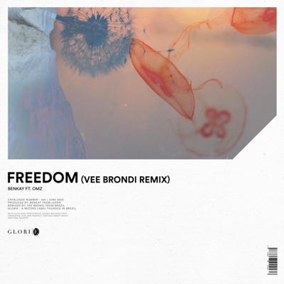 Freedom (Vee Brondi Remix) - Single