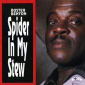 Spider in My Stew - Buster Benton