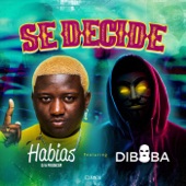 Se Decide (feat. Diboba) artwork