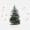 Stocking Stuffers - Dylan Sitts lyrics