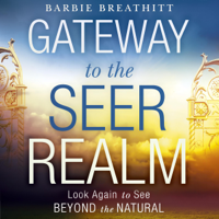 Barbie Breathitt - The Gateway to the Seer Realm: Look Again to See Beyond the Natural (Unabridged) artwork