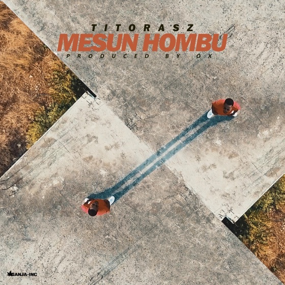 Cover artwork for Mesun Hombu