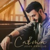 Calma - Single