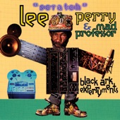 Lee "Scratch" Perry (with Mad Professor) - Thank You