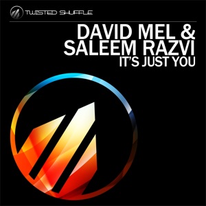 It's Just You - Single