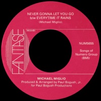 Never Gonna Let You Go