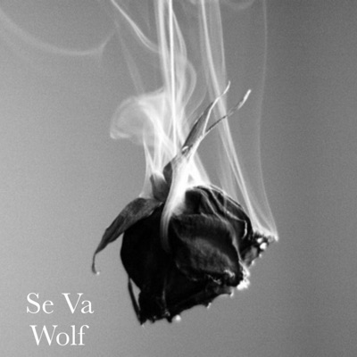Se Va - Single