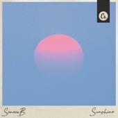 Sunshine artwork