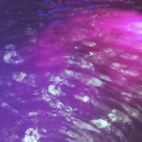 Please Save John DiFool (feat. Nev Ver) - Single - Nogoodstepson