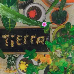 Tierra album cover