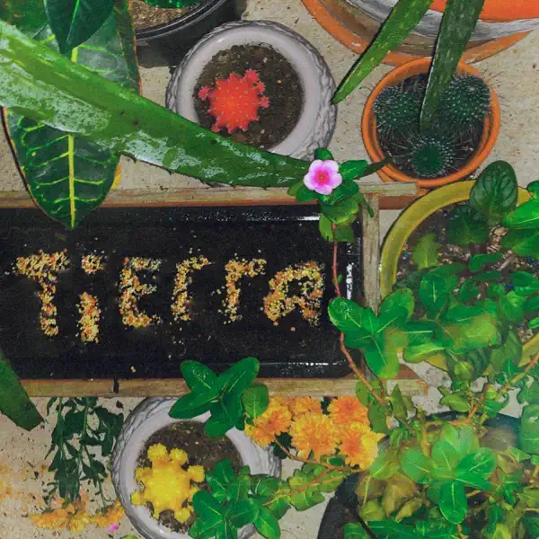 Tierra cover