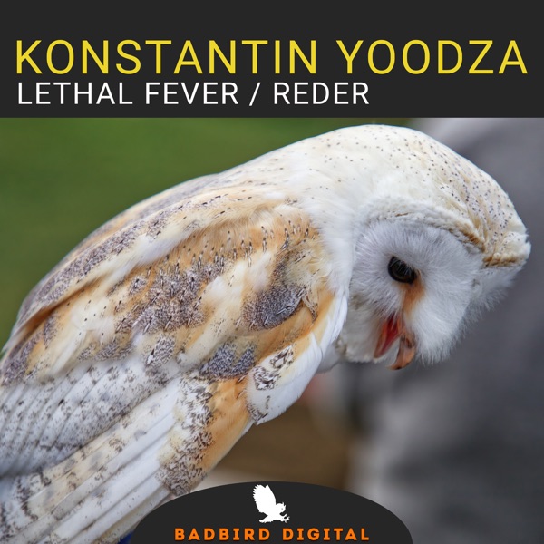 Lethal Fever / Reder - Single - Konstantin Yoodza