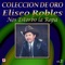 Mi Tesoro - Eliseo Robles y Los Bárbaros del Norte lyrics