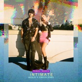 Intimate (PRNDL Remix) artwork