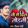 Jo Ge Dil Todani - Single