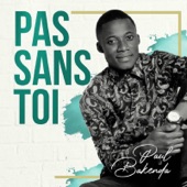 Pas sans toi artwork