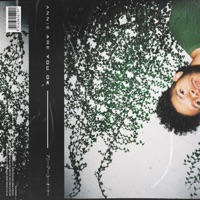 Annie Are You Ok - Single - Hunnid Gemz