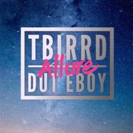 Allure (feat. Dut Eboy) [Extended Mix] Tbirrd