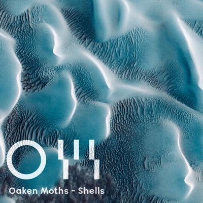 Shells - Single