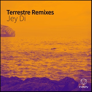 Terrestre (feat. Dave More) [Remixes] - Single