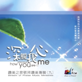 深觸我心 (敬拜讚美專輯9)