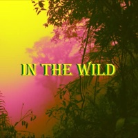 In the Wild - Single - Arti.K