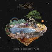 Antibalas - Gold Rush