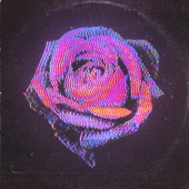 Inner Wave - Rose