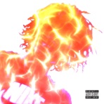 Playing With Fire - Single