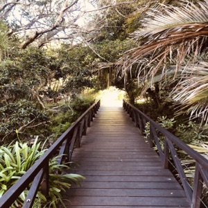 Long Road