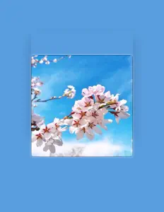 收听 RFB Jay、观看音乐视频、阅读小传、查看巡演日期等 ！