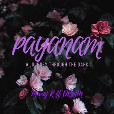 Payanam (feat. Dr34m) - Single