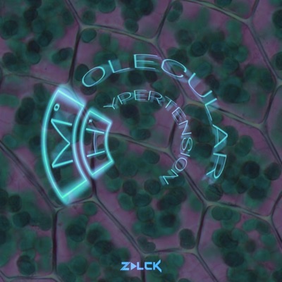 Molecular Hypertension