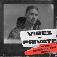 Coming Off Strong (Vibez Is Private) [Tazer Remix] - Single - Quincy