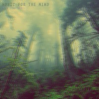 Music for the Mind - King Ital Rebel