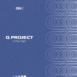 Innerspace Q Project