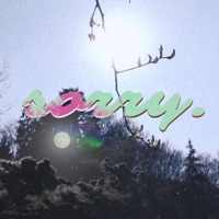 Sorry - Single - Dari Ferrari