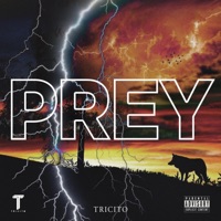 PREY - Single - TRICITO