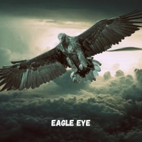Eagle Eye - Single - IDS
