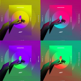 Morenita (feat. Flycomets) Musk