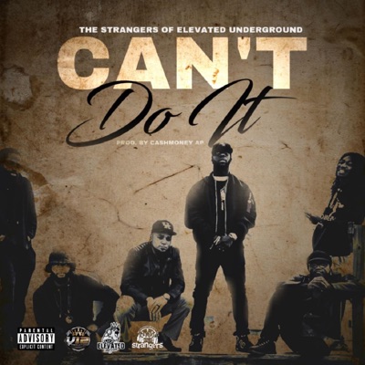 Can't Do It - Single