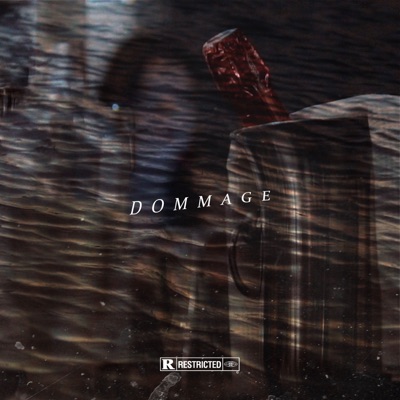 Dommage (feat. Sofia) - Single