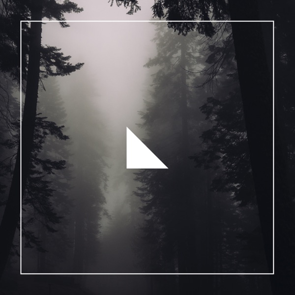 Multiverse - Single
