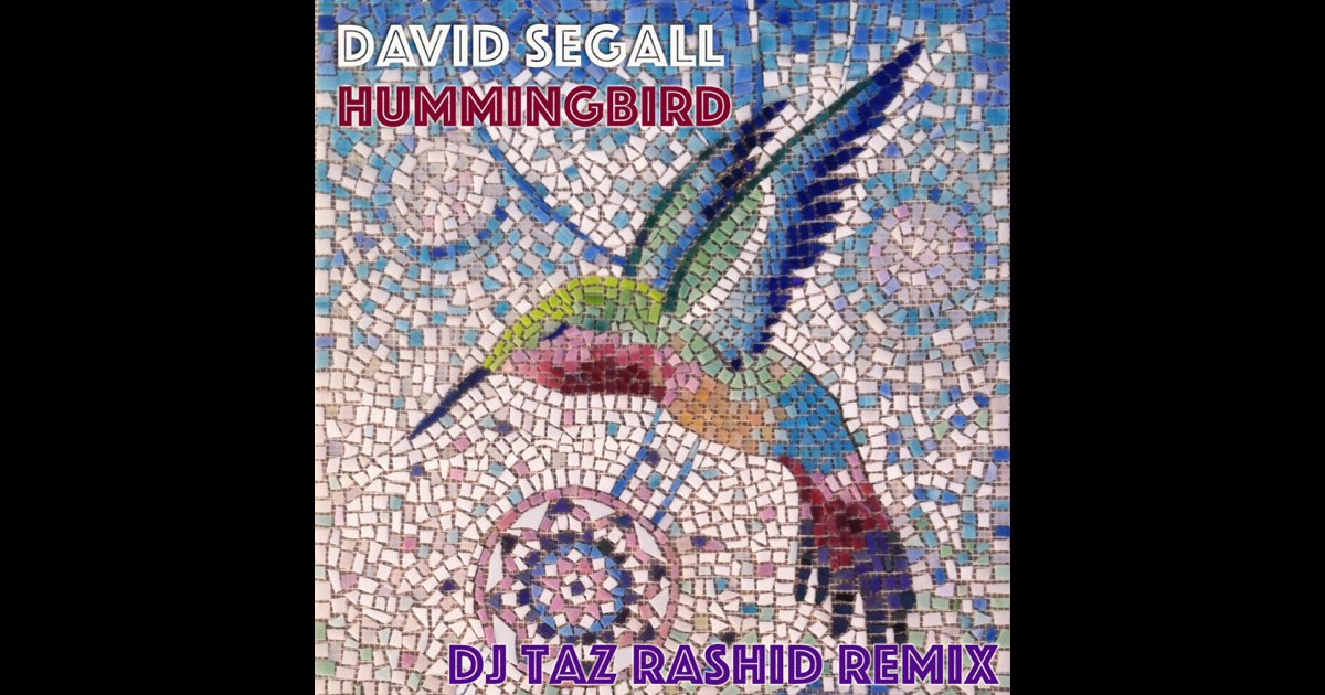 Hummingbird (DJ Taz Rashid Remix) - Single - Album by David Segall