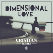 Dimensional Love (Radio Edit) artwork