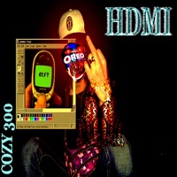 Hdmi - Single - Cozy300