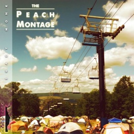 Until Next Time... (Bonus Track) Shady Monk