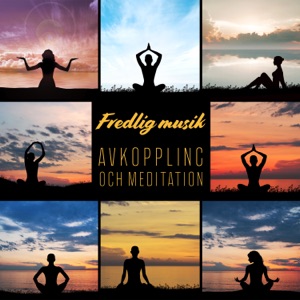 Fredlig musik: Avkoppling och meditation - Deep Sleep, Spa och massage, Välbefinnande, Terapi musik för inre fred, Minska stress, ångest och depres