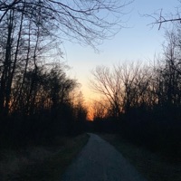 Solace (feat. Ryxn) - Single - KoiFsh