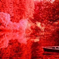 I Hope This Heals Us All - Crafty Barnardo